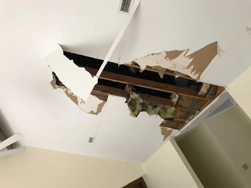 Ceiling water stain and roof repair in Missouri
